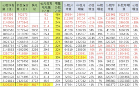 中国2024年增量纯电动车车桩比1:1 领先其它国家数倍