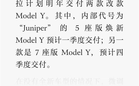 7座的Model Y要进国内？我建议特斯拉再考虑考虑