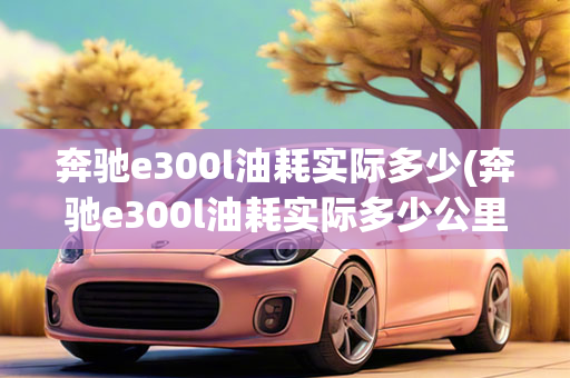 奔驰e300l油耗实际多少(奔驰e300l油耗实际多少公里)