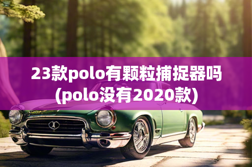 23款polo有颗粒捕捉器吗(polo没有2020款)