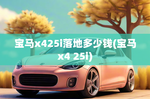 宝马x425i落地多少钱(宝马x4 25i)