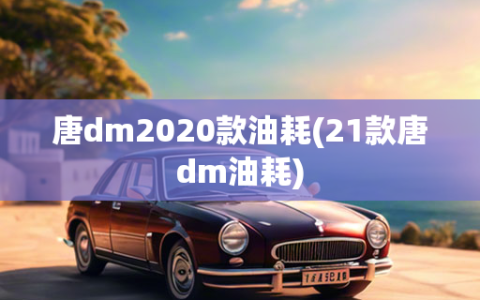 唐dm2020款油耗(21款唐dm油耗)