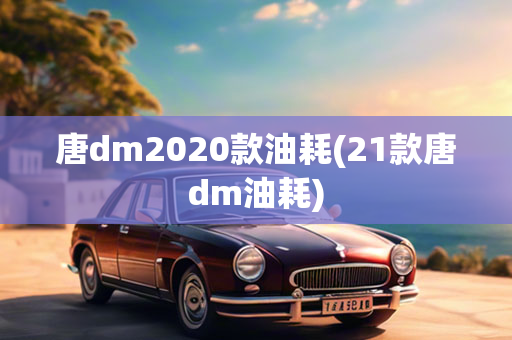 唐dm2020款油耗(21款唐dm油耗)