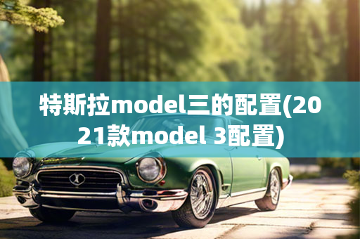 特斯拉model三的配置(2021款model 3配置)