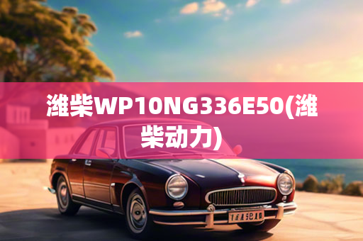 潍柴WP10NG336E50(潍柴动力)