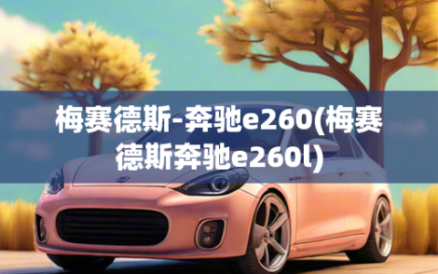 梅赛德斯-奔驰e260(梅赛德斯奔驰e260l)