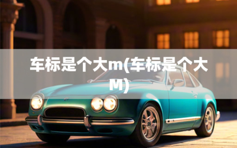 车标是个大m(车标是个大M)