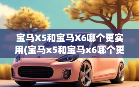 宝马X5和宝马X6哪个更实用(宝马x5和宝马x6哪个更实用些)