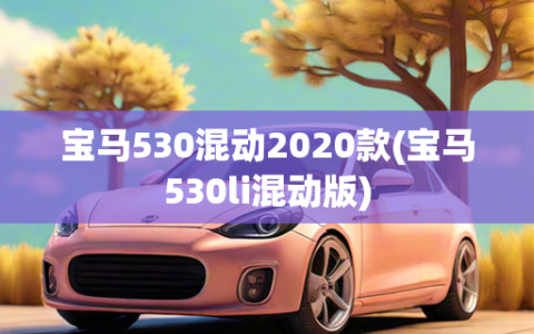 宝马530混动2020款(宝马530li混动版)