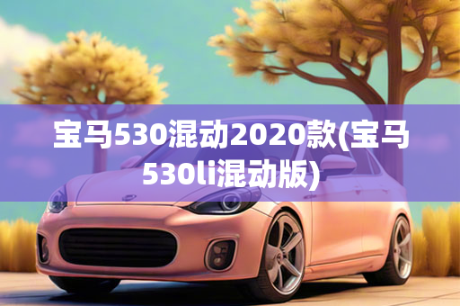 良马530混动2020款(良马530li混动版)