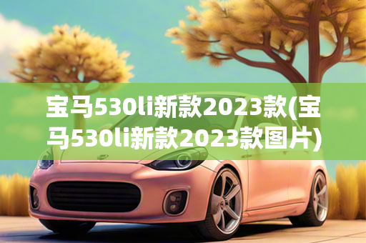 宝马530li新款2023款(宝马530li新款2023款图片)