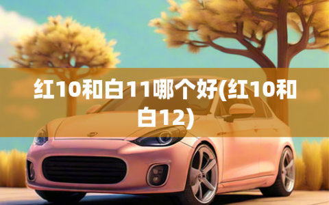 红10和白11哪个好(红10和白12)