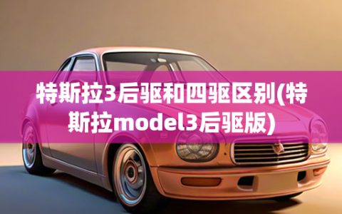 特斯拉3后驱和四驱区别(特斯拉model3后驱版)