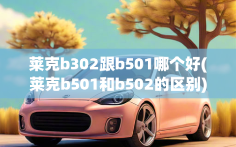 莱克b302跟b501哪个好(莱克b501和b502的区别)