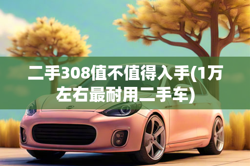 二手308值不值得入手(1万左右最耐用二手车)