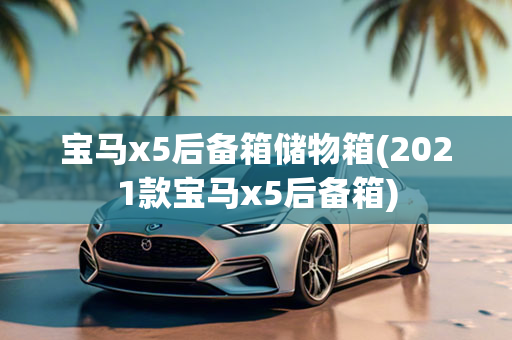 宝马x5后备箱储物箱(2021款宝马x5后备箱)