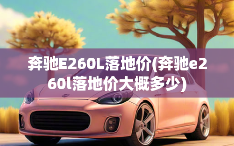 奔驰E260L落地价(奔驰e260l落地价大概多少)