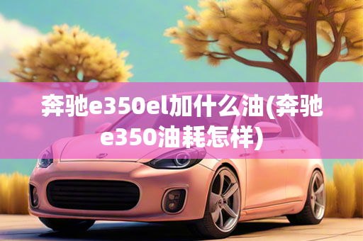 奔驰e350el加什么油(奔驰e350油耗怎样)