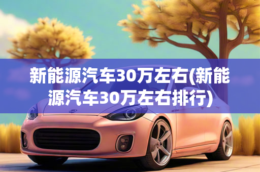 新能源汽车30万左右(新能源汽车30万左右排行)