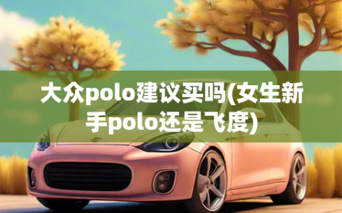 大众polo建议买吗(女生新手polo还是飞度)