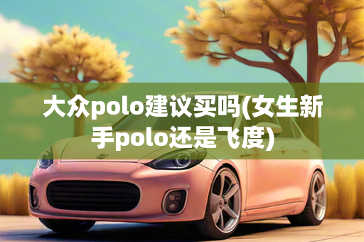 大众polo建议买吗(女生新手polo还是飞度)