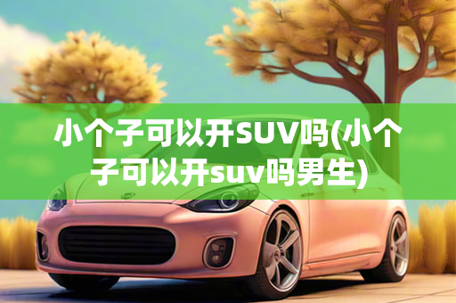 小个子可以开SUV吗(小个子可以开suv吗男生)