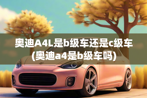 奥迪A4L是b级车还是c级车(奥迪a4是b级车吗)