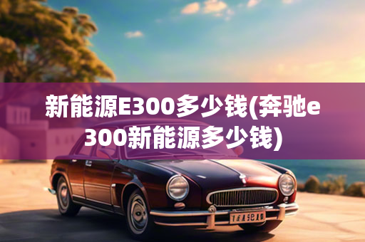 新能源E300多少钱(奔驰e300新能源多少钱)