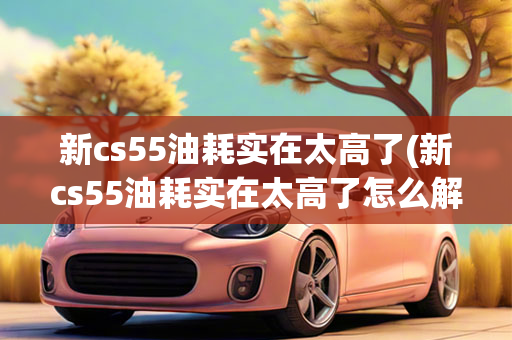 新cs55油耗实在太高了(新cs55油耗实在太高了怎么解决)