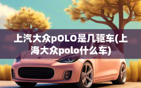 上汽大众pOLO是几驱车(上海大众polo什么车)