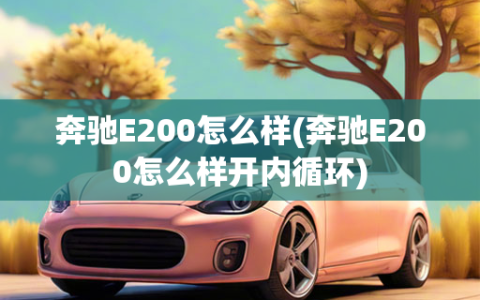 奔驰E200怎么样(奔驰E200怎么样开内循环)