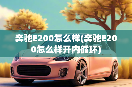 奔驰E200怎么样(奔驰E200怎么样开内循环)