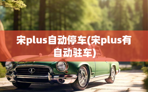 宋plus自动停车(宋plus有自动驻车)