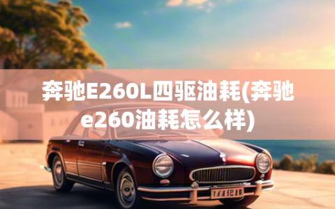 奔驰E260L四驱油耗(奔驰e260油耗怎么样)