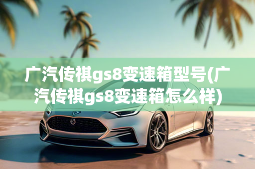 广汽传祺gs8变速箱型号(广汽传祺gs8变速箱怎么样)