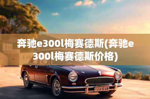 奔驰e300l梅赛德斯(奔驰e300l梅赛德斯价格)