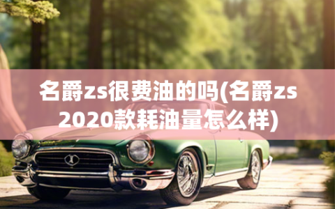 名爵zs很费油的吗(名爵zs2020款耗油量怎么样)