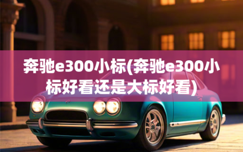 奔驰e300小标(奔驰e300小标好看还是大标好看)