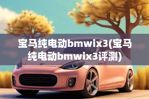 宝马纯电动bmwix3(宝马纯电动bmwix3评测)