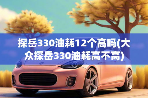 探岳330油耗12个高吗(大众探岳330油耗高不高)