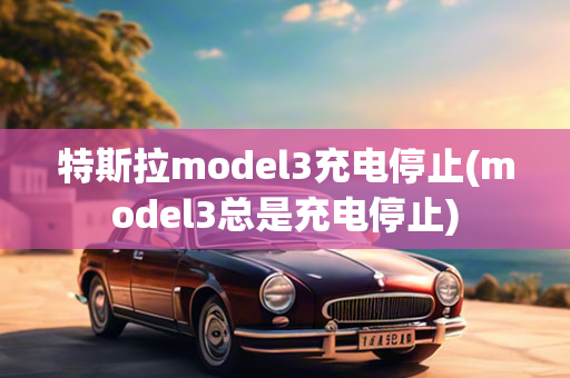 特斯拉model3充电停止(model3总是充电停止)