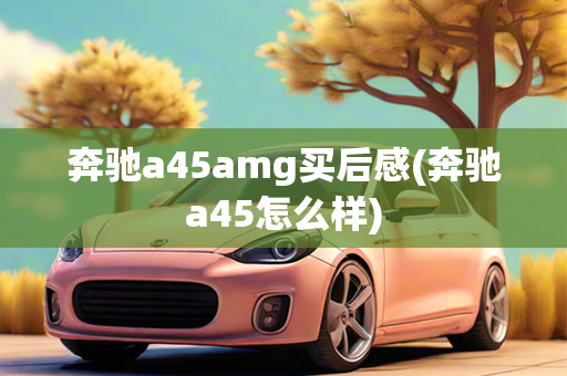 奔驰a45amg买后感(奔驰a45怎么样)