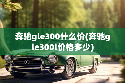 奔驰gle300什么价(奔驰gle300l价格多少)