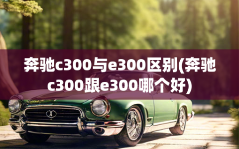 奔驰c300与e300区别(奔驰c300跟e300哪个好)