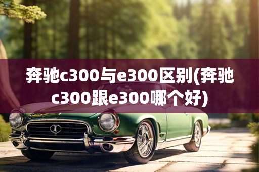 奔驰c300与e300区别(奔驰c300跟e300哪个好)