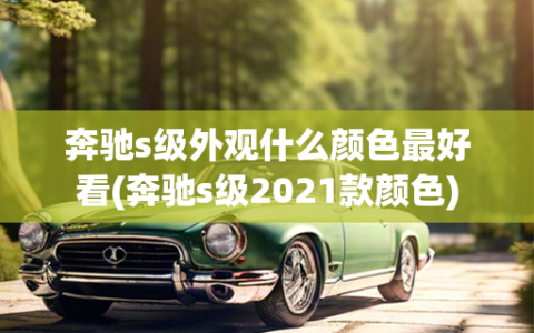 奔驰s级外观什么颜色最好看(奔驰s级2021款颜色)