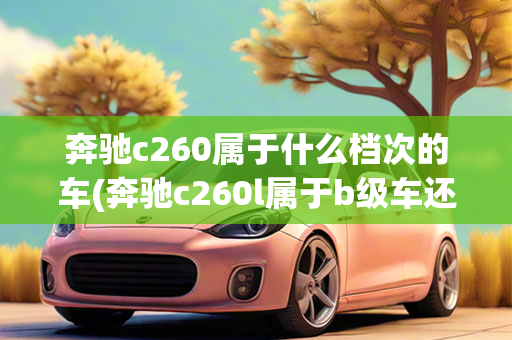 奔驰c260属于什么档次的车(奔驰c260l属于b级车还是c级车)