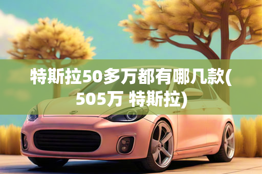 特斯拉50多万都有哪几款(505万 特斯拉)