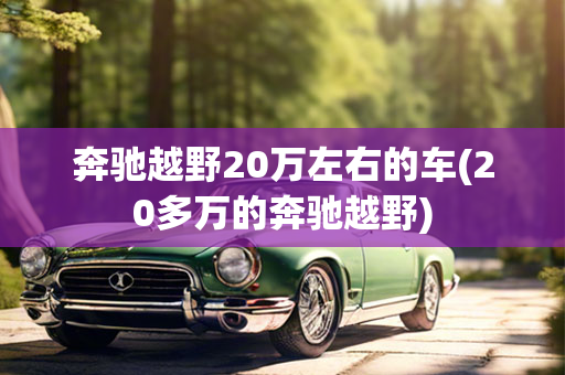 奔驰越野20万左右的车(20多万的奔驰越野)