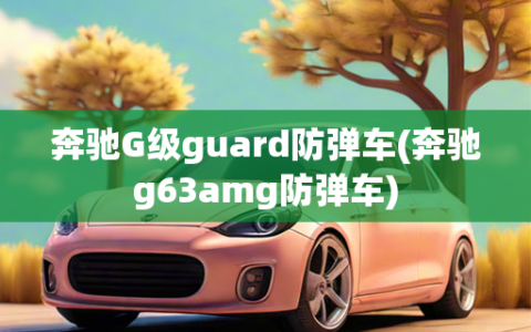 奔驰G级guard防弹车(奔驰g63amg防弹车)